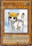 Gatto da Soccorso