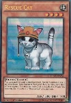 Gatto da Soccorso