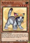 Gatto da Soccorso