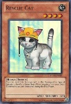 Gatto da Soccorso