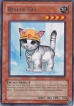 Gatto da Soccorso