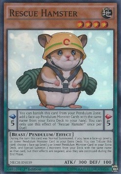 /products/ygo/res/rescue-hamster/the-new-challengers-rescue-hamster-270849.jpg