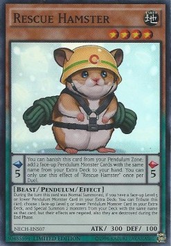 /products/ygo/res/rescue-hamster/the-new-challengers-rescue-hamster-271318.jpg