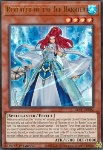 Rivelatore della Barriera di Ghiaccio
