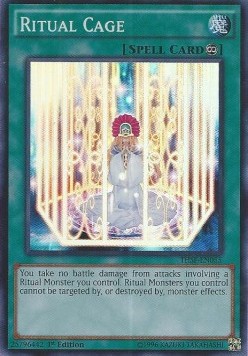 /products/ygo/rit/ritual-cage/the-secret-forces-ritual-cage-272289.jpg