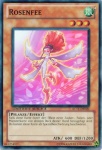 Fata delle Rose
