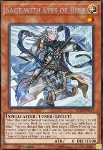 Saggio con gli Occhi di Blu