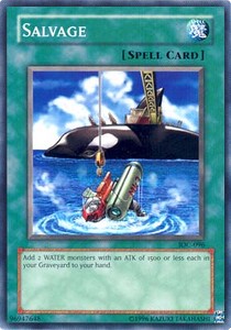 /products/ygo/sal/salvage/invasion-of-chaos-salvage-105384.jpg