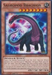 Brachio Sauropode