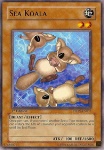Koala Marino