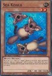 Koala Marino