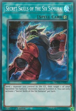 /products/ygo/sec/secret-skills-of-the-six-samurai/spirit-warriors-secret-skills-of-the-six-samurai-313485.jpg