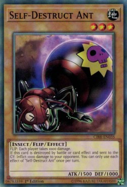 /products/ygo/sel/self-destruct-ant/circuit-break-self-destruct-ant-311303.jpg