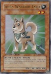 Shiba Warrior Taro