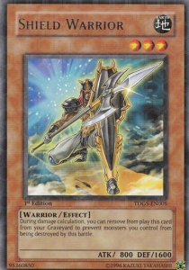 /products/ygo/shi/shield-warrior/the-duelist-genesis-shield-warrior-107615.jpg