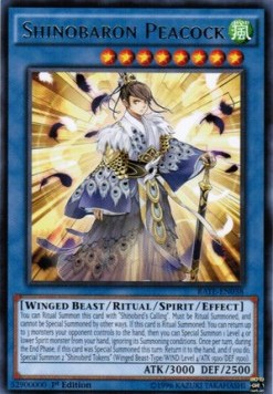 /products/ygo/shi/shinobaron-peacock/raging-tempest-shinobaron-peacock-295617.jpg