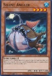 Pescatrice Silenziosa