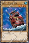 Teschio Marino