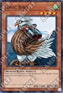 /products/ygo/son/sonic-bird/spell-ruler-25th-anniversary-edition-sonic-bird-707141.jpg
