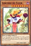 Stregone dei Fiori