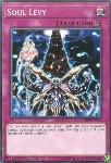 Prelievo di Anima