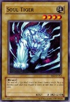 Tigre dell'Anima