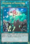 Libro di Magia della Conoscenza