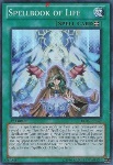 Libro di Magia della Vita