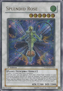 /products/ygo/spl/splendid-rose-v2-ultimate-rare/the-shining-darkness-splendid-rose-v2-ultimate-rare-241045.jpg
