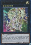 Stellcavaliere Costellazione Diamante