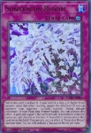 Solaravalon Fioritura