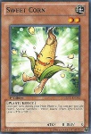 Dolce Granoturco