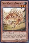 Tsuchinoko Dentuto Terreno