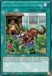 Quell'Erba Sembra Più Verde