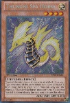 Cavalluccio Marino Tuono