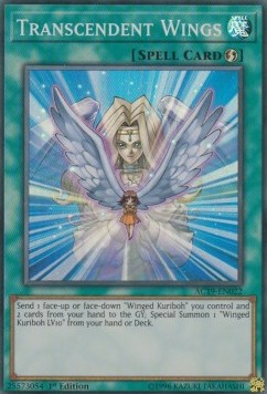 /products/ygo/tra/transcendent-wings/advent-calendar-2019-transcendent-wings-403324.jpg
