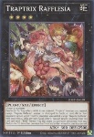 Traptrix Rafflesia