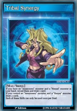 /products/ygo/tri/tribal-synergy-skill/speed-duel-starter-decks-duelists-of-tomorrow-tribal-synergy-skill-366147.jpg
