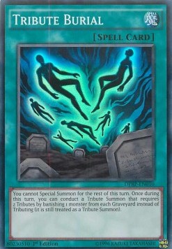 /products/ygo/tri/tribute-burial/duelist-pack-rivals-of-the-pharaoh-tribute-burial-292686.jpg