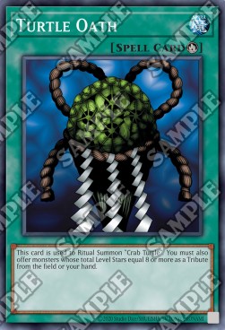 /products/ygo/tur/turtle-oath/spell-ruler-25th-anniversary-edition-turtle-oath-707114.jpg