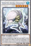 Delfino Aura Bianca