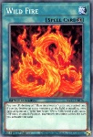 Fuoco Selvaggio