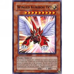 /products/ygo/win/winged-kuriboh-lv9/gx-manga-promos-winged-kuriboh-lv9-108512.jpg