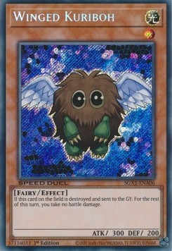 /products/ygo/win/winged-kuriboh-v2-secret-rare/speed-duel-gx-duel-academy-box-winged-kuriboh-v2-secret-rare-611816.jpg