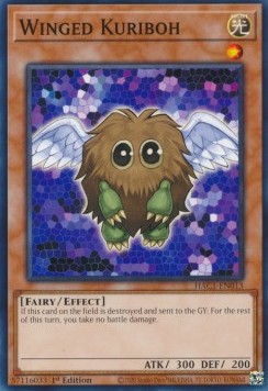 /products/ygo/win/winged-kuriboh/hidden-arsenal-chapter-1-winged-kuriboh-610236.jpg