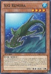 Remora Xyz